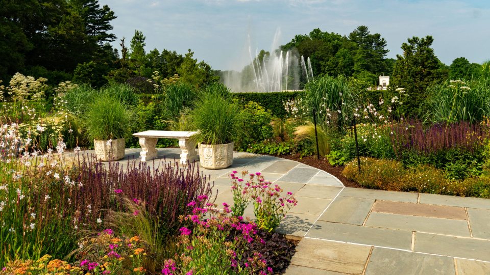 ローズガーデン Rose Garden | Longwood Gardens